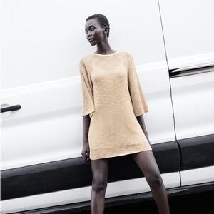 Zara Mini dress with round neck and long sleeves. Metallic thread detail. Lined.